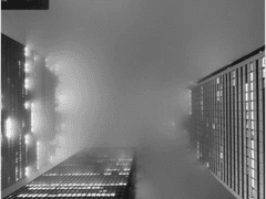 충신이 죽은 자신의 주군에게 하는 마지막 청