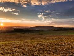 사자는 양을 사랑했던가