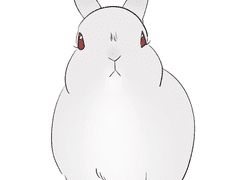 하트몬드 로그 6