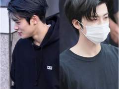 고양이들의 플러팅 SSUL