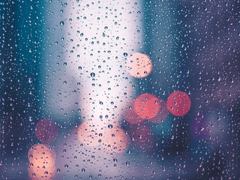 [슬레미오] 동행 10 - 完