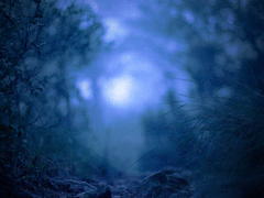 푸른 독초 BLUE VENOM 07