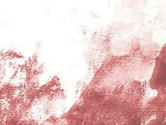 시간은 진리를 실험한다.