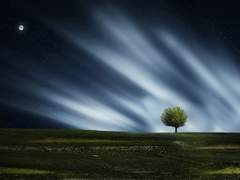 사자는 양을 사랑했던가