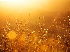 도려내고 다듬고 손질하고 上