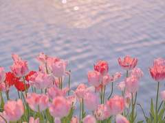 다복팔당多福八堂