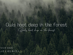 [알베케일] Owls hoot deep in the forest