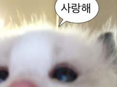 남친 갔어, 와도 돼!