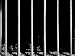 [뜰팁] 이 대륙의 11명의 범죄자들 1화