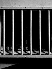 이 대륙의 11명의 범죄자들