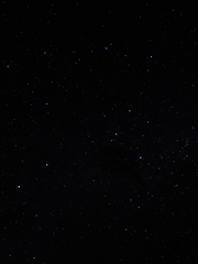 사랑하는 나의 나쁜 X