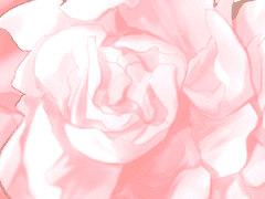 [모여라 꿈왕국/플레이그] 사랑초