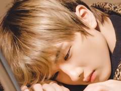 개냥아치 가이드 22