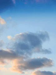 사주로 보는 공부와 일