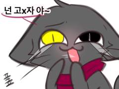 우당탕탕 뇽냥이들