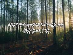 백린소현 : 장성한 자식