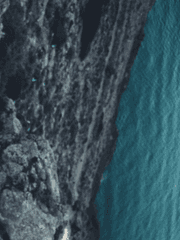 작전명코드블루