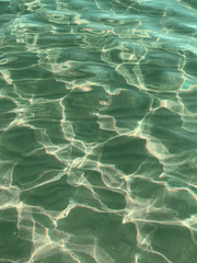 합법해적 파르페