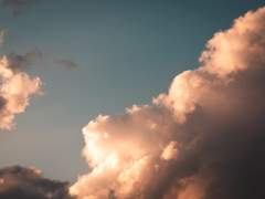 고합니다 나의 유일에 관하여서