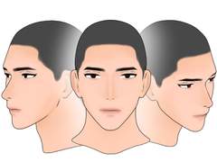 표정과 움직임이 가능한 3D 헤드 [유형 = Seiji]