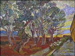 z세대에 관하여