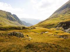 사자는 양을 사랑했던가