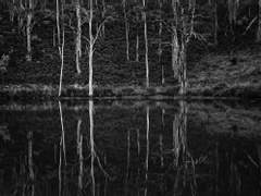 [죠죠]죄인은 늪에서 기어나오고