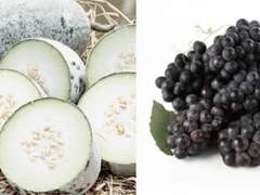 내 지난날들은 눈 뜨면 잊는 꿈