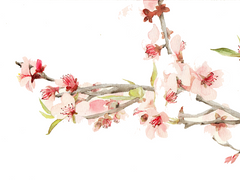 [암존신룡] 浑蛋 (수위 제거)