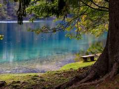 제로의 마법사 : 두번째 기회