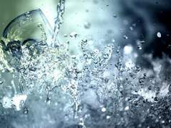 제로의 마법사 : 네 명의 목숨을 짊어지고