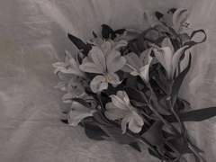 [당보 드림] 이른 여행의 끝에서