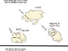 심즈4 테스타(1)