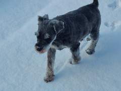 마감하다 말고 랜선 집들이