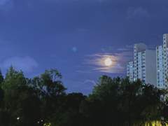 ( 無에서 살고 있습니다. ) ep.07 : 커피 원두를 고를 때나, 마라탕에 양고기를 추가할 때나.