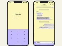 281. Hawaii 04 (yellow & purple)