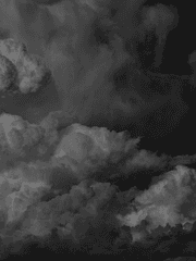 그것은 어느날 창문을 넘어 들어왔다