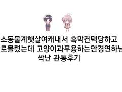 타카코토 관통후기