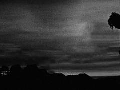 모든 진실에는 얼룩이 져있다.