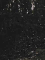 반딧불이의 초대