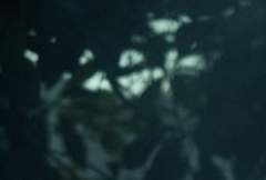 1. 열대가 드리운 밤