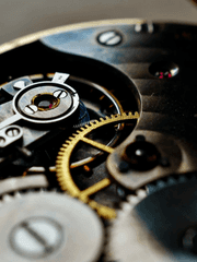 레비 미자르 카터