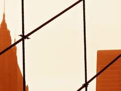 3. 이건 누가 뭐래도 일방향 작별 선언