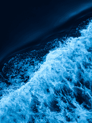 [원피스] わんぴーす