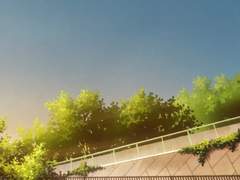 ヒナギク; 봄의 시작