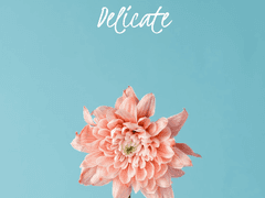 [드빈마르] Delicate (1)