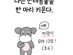 울집개 까망이 보고 가세요