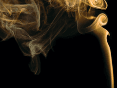 하이타니 수학 선생님 관찰일지-2