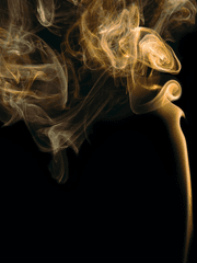 하이타니 수학 선생님 관찰일지