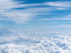 한성윤&도하늘_1